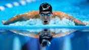Insólito: el norteamericano Michael Phelps competirá contra un tiburón real