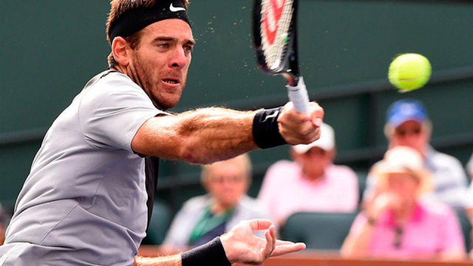 Juan Martín del Potro venció a Leonardo Mayer y avanzó a los cuartos de final .