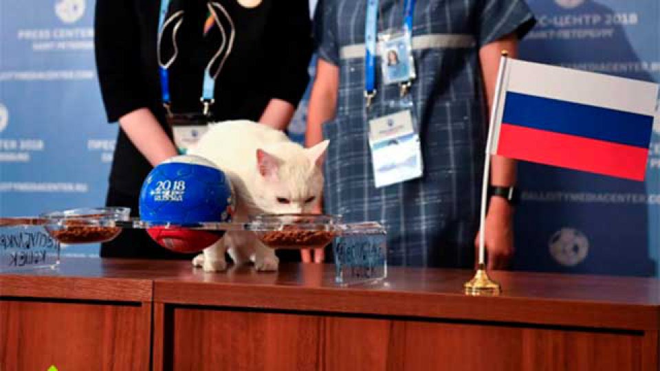 "Achille" pronosticó al ganador del primer partido del Mundial 2018.