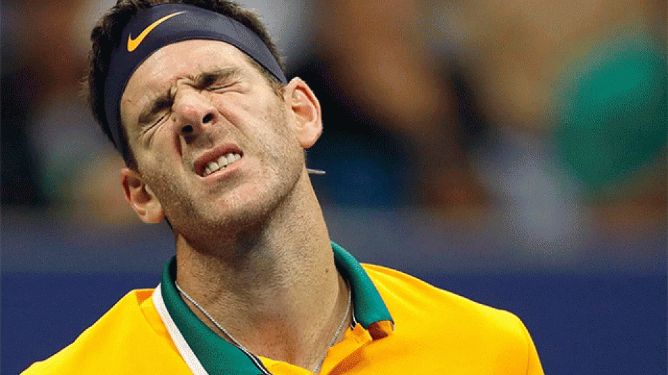 Del Potro no pudo ante la contundencia de Djokovic.