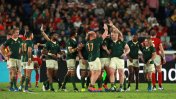 Sudáfrica derrotó a Gales y jugará la final contra Inglaterra en el Mundial de Rugby