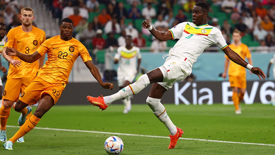 Países Bajos le ganó a Senegal y comparte la punta del Grupo A con Ecuador.