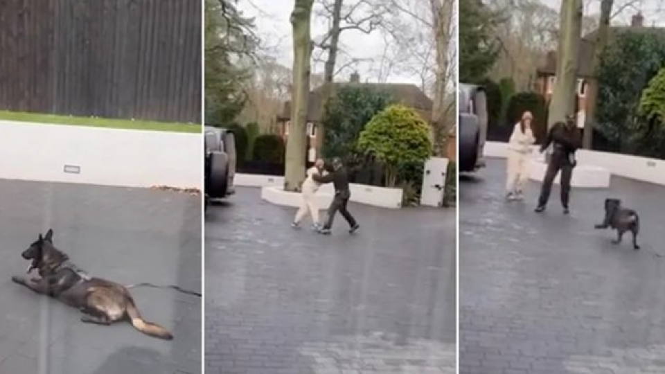 Video: This is how Dibu Martínez’s guard dog is trained