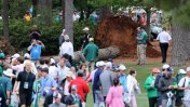 Video: un árbol cayó cerca del público en un importante torneo de golf
