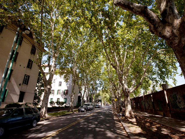 El barrio Rawson, que habit&oacute; Cort&aacute;zar, a&uacute;n inspira a artistas.