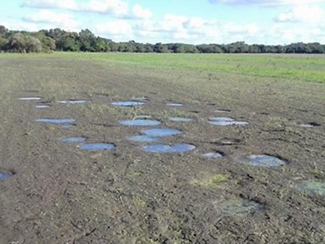 Los campos con las huellas circulares est&aacute;n ubicados a 8 kil&oacute;metros de Malabrigo