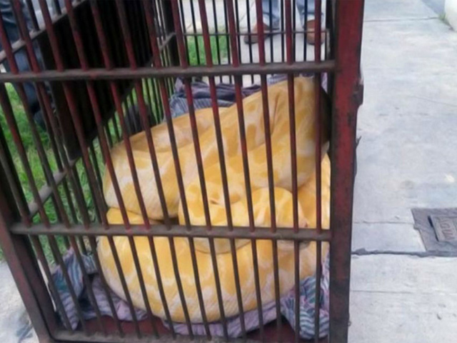 Contacto Pol&iacute;tico