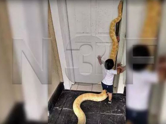 Noticias 3 de febrero