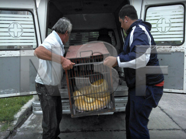 Noticias 3 de febrero