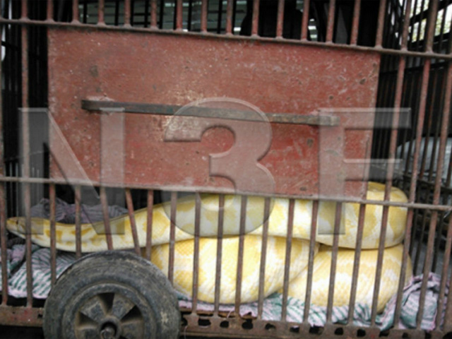 Noticias 3 de febrero