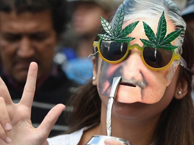 Semillas de marihuana en honor a "Pepe" Mujica.