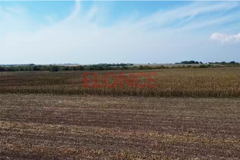 Hasta cuándo seguirá la escasez de lluvia y cómo impactará el fenómeno “La Niña”