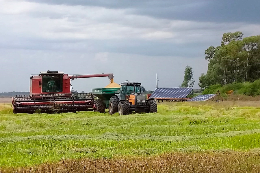 Foto: Archivo Elonce.