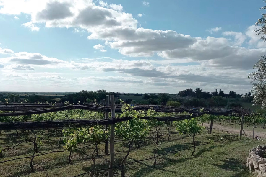 El Congreso se celebrar&aacute; en un momento cr&iacute;tico para las econom&iacute;as regionales en 2024.