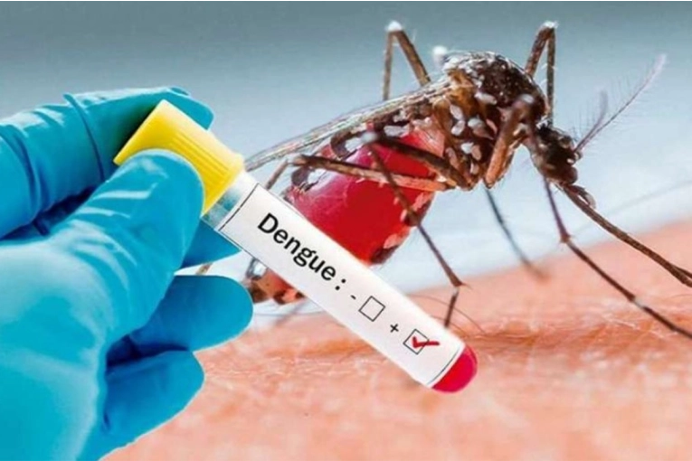 Vacuna contra el dengue: por quiénes empezará la aplicación gratuita