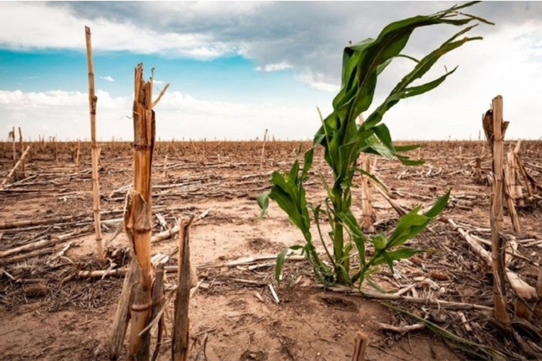 Alertan que el 78% de la tierra está más seca que en 1990: qué pasa en Argentina