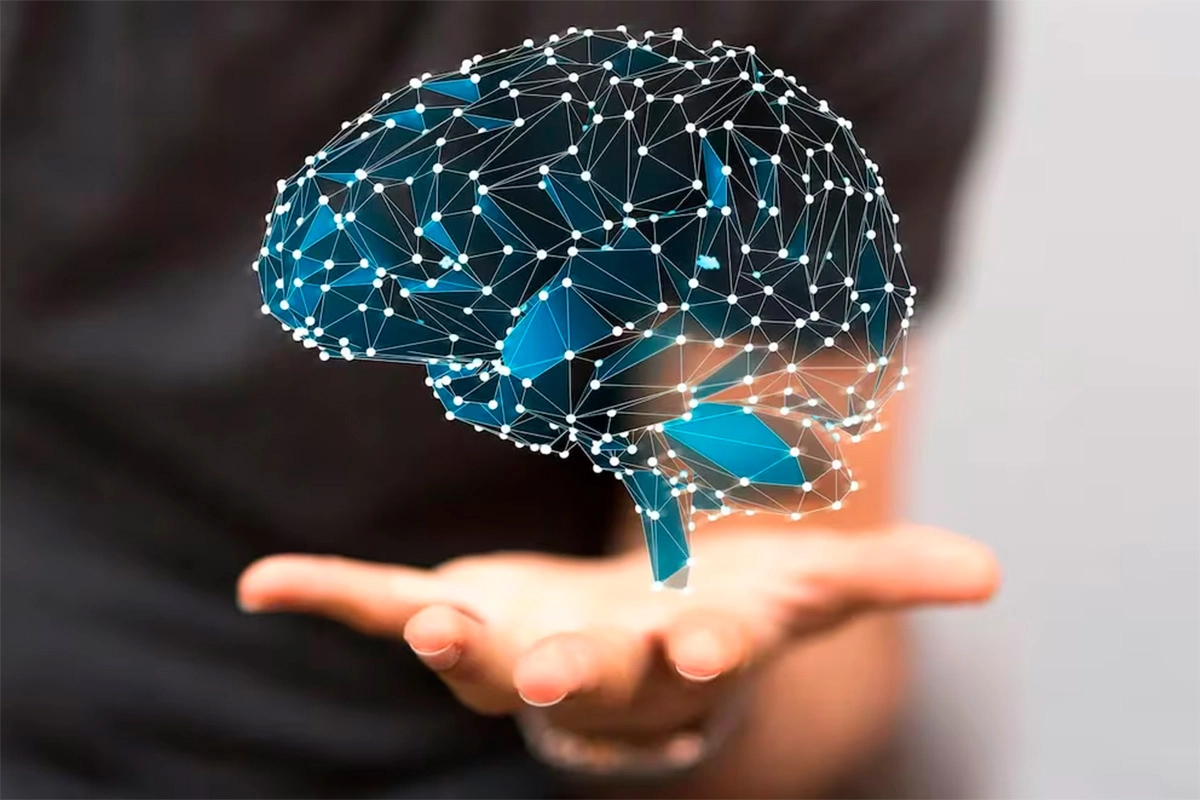 Cerebro Cerebro