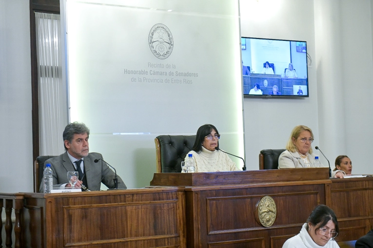 El Senado aprobó los pliegos del CGE y el acuerdo a Tepsich para el STJ