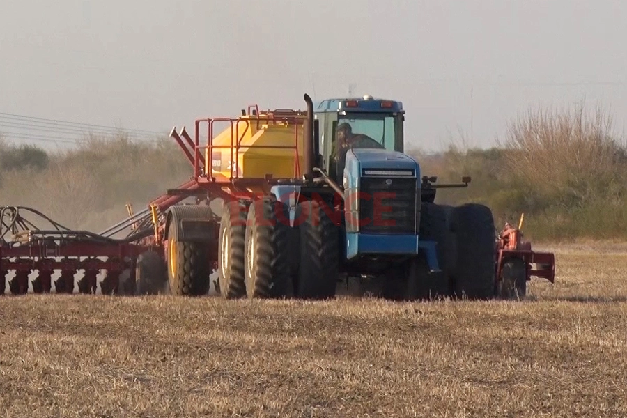 La situaci&oacute;n del sector.