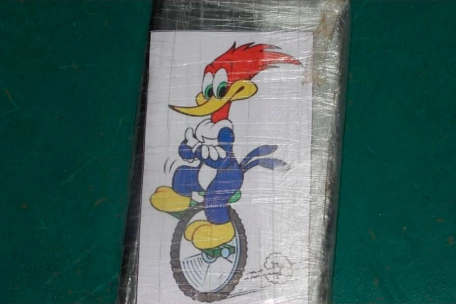 Uno de los ladrillos de coca&iacute;na secuestrados en Caviahue.