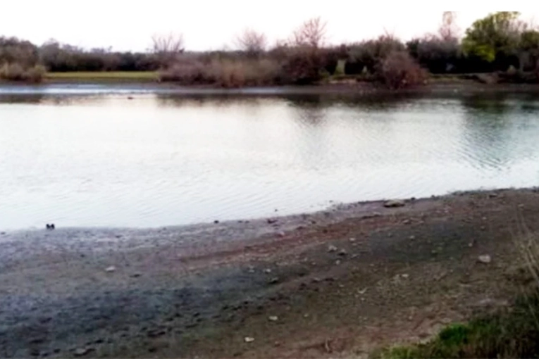 Investigan la mortandad de peces en un arroyo de Concepción del Uruguay