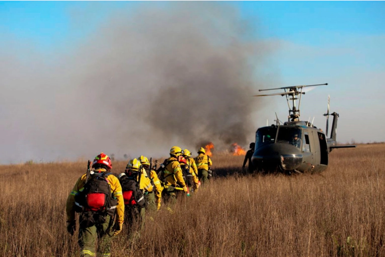 Implementan un plan de acción para combatir los incendios en el Delta del Paraná