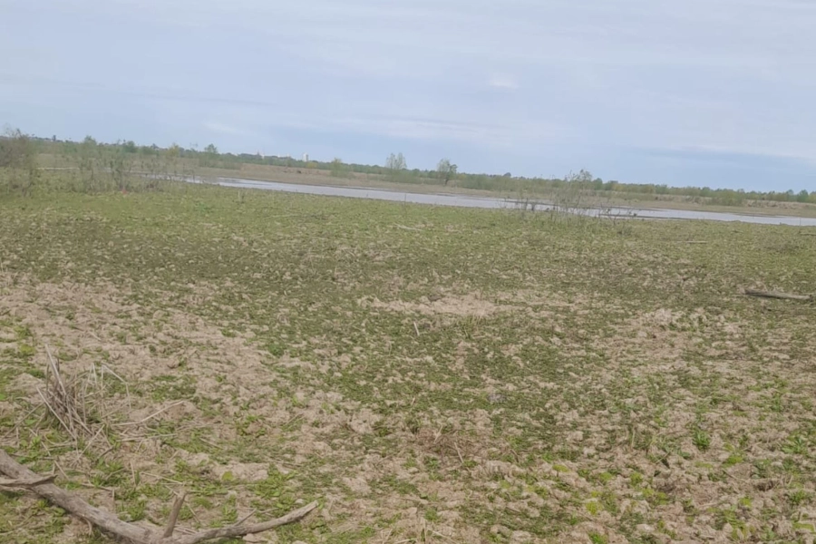 El estado del campo, sin pasto. (Foto: La Nación)