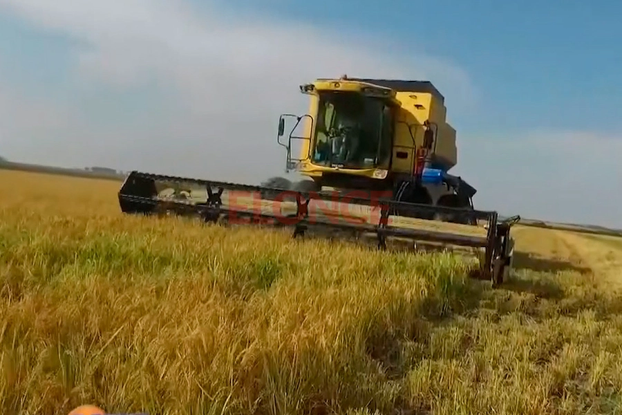 Foto: Archivo Elonce.