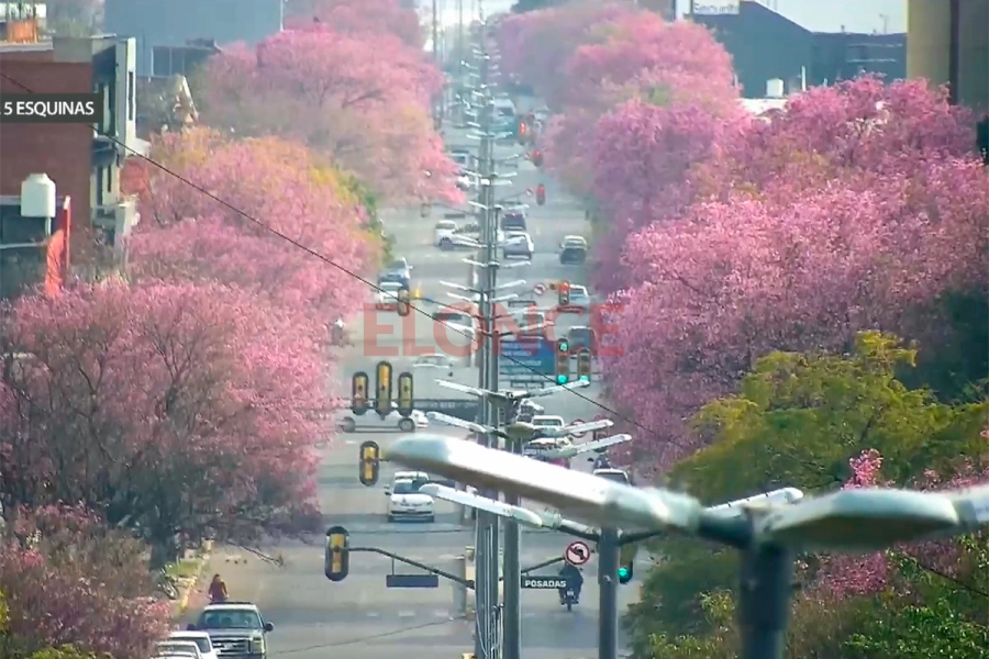 Se demoran las temperaturas primaverales (foto Elonce)