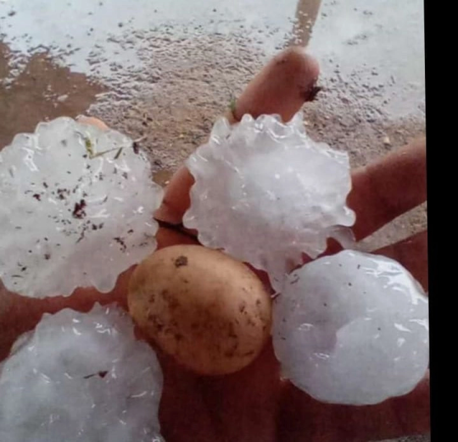 Afirman que nunca había caído granizo tan grande. Chajarí al Día