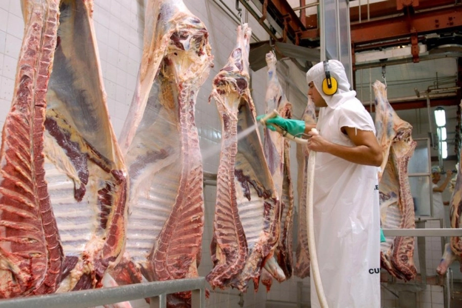 Foto: Archivo Elonce.