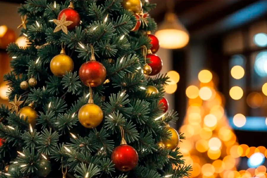 Navidad
