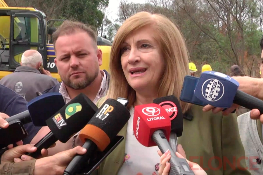 Rosario Romero -Elonce