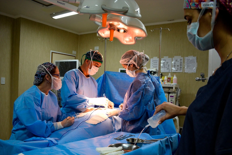 Nueva donaci&oacute;n de &oacute;rganos en Paran&aacute;. (foto: Gobierno de Entre R&iacute;os)