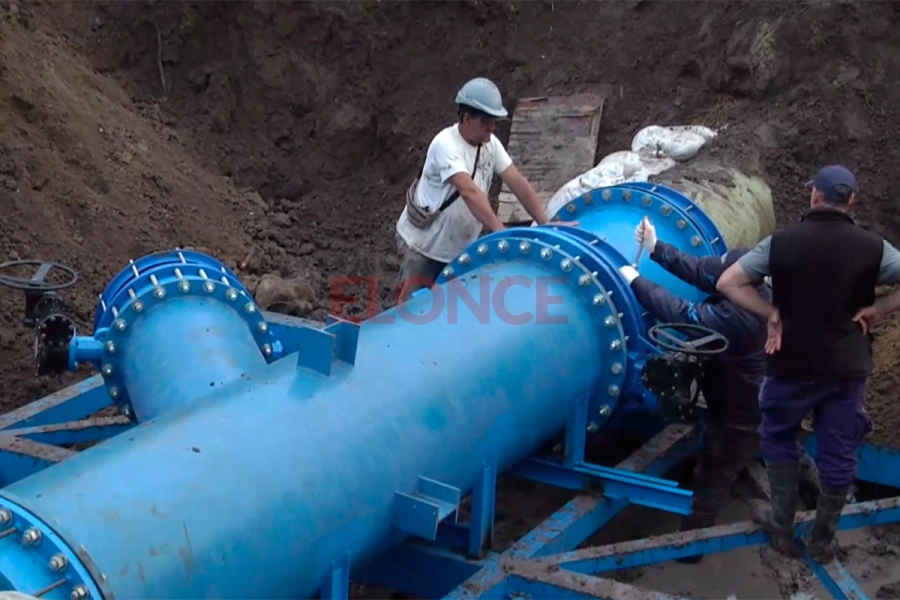 Planta Echeverr&iacute;a