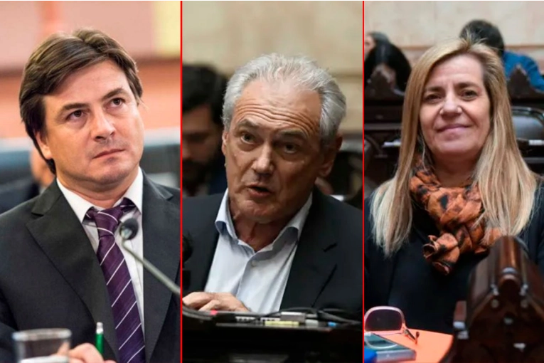 Universidades: Morchio, Benedetti y Ántola votaron contra el veto y dieron sus argumentos