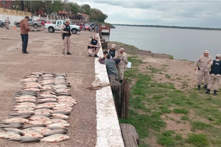 Prefectura incautó más de 100 piezas de pescado