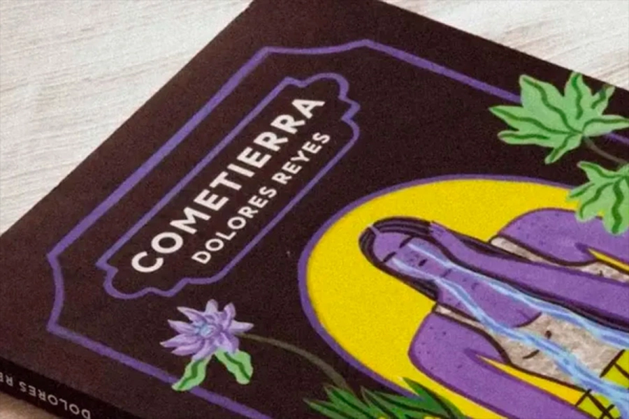La novela "Cometierra", de Dolores Reyes. (Imagen: LMNeuqu&eacute;n)