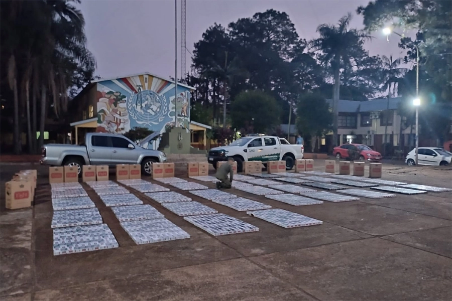 Cigarrillos incautados en Misiones. Gendarmer&iacute;a Nacional
