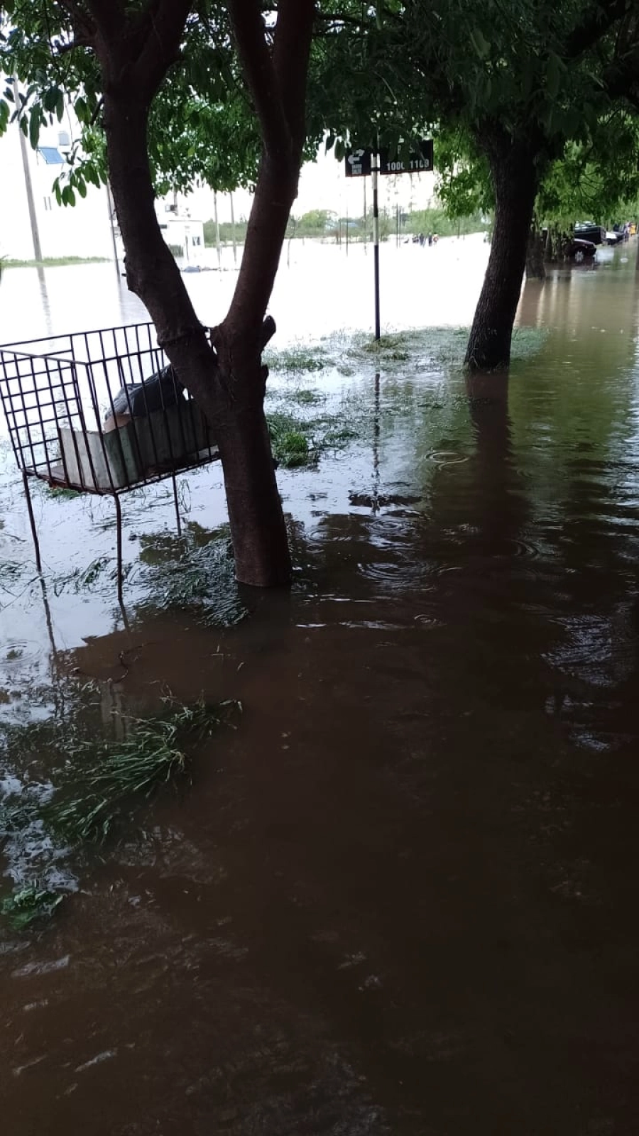 Anegamientos en Chajar&iacute;. (foto: Chajar&iacute; al d&iacute;a)