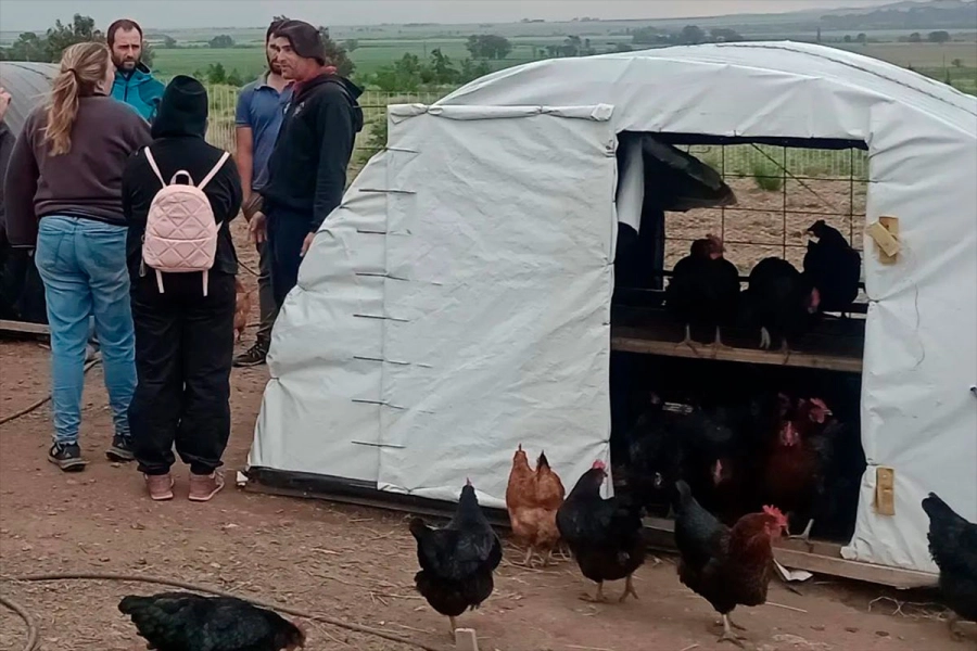 Un modelo que crece y se consolida.