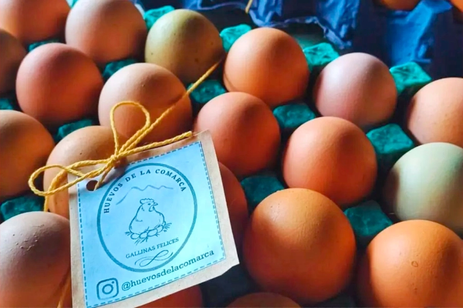 Los huevos del proyecto Huevos de la Comarca.