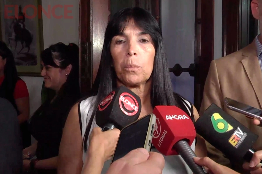 Vicegobernadora, Alicia Aluani