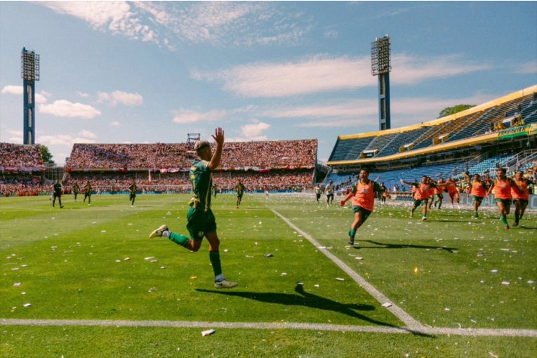 Aldosivi de Mar del Plata ganó la final y ascendió a Primera División