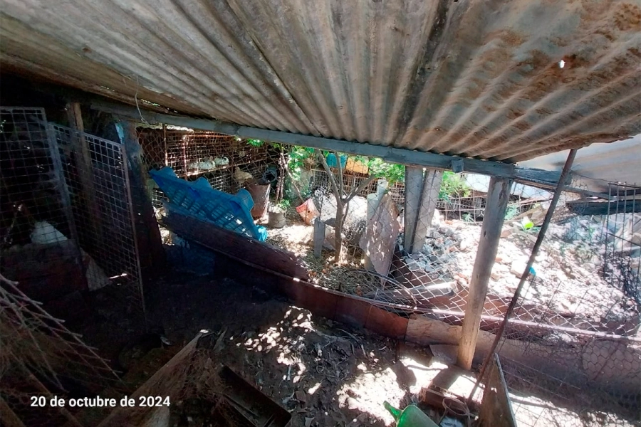 Acumulaci&oacute;n de residuos - Imagen aportada por la familia Frank