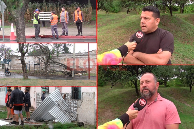 Tormenta en Paraná: árboles caídos, voladura de techos y casas electrificadas