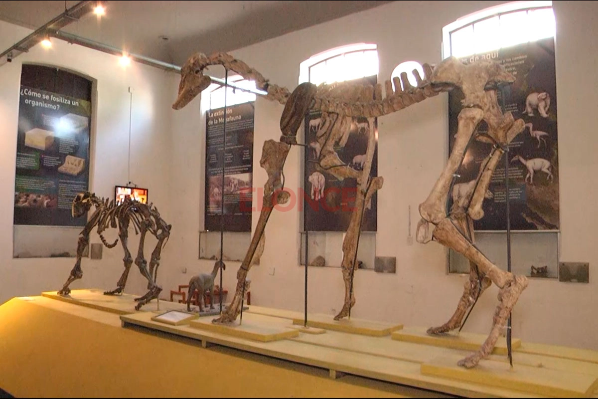 Museo Antonio Serrano. Museo Antonio Serrano.