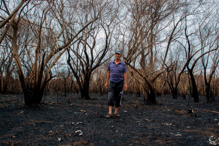 Avelino &ldquo;Candil&rdquo; Vera. (foto: Revista Charco)