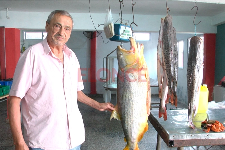 Pescadores celebraron buena temporada en Puerto Sánchez: capturaron un dorado de 14 kilos