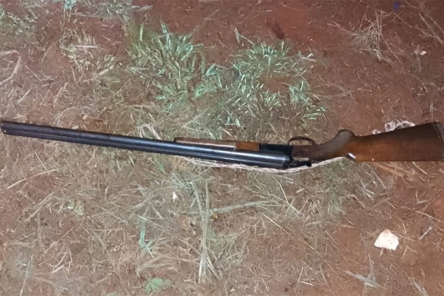 La escopeta usada. Clar&iacute;n